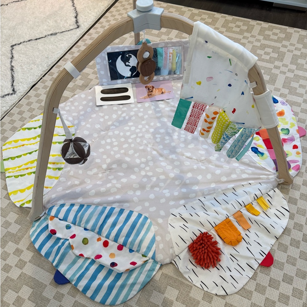 Lovevery Baby Play Gym